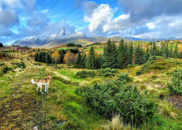 Penzion Nykmark - Eco House - Blatinden Bostad
